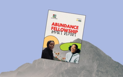 Abundance Fellowship Impact Report